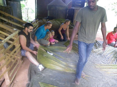 A la découverte de l`Ylang avec l`Amicale des Bretons de Mayotte