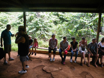 A la découverte de l`Ylang avec l`Amicale des Bretons de Mayotte