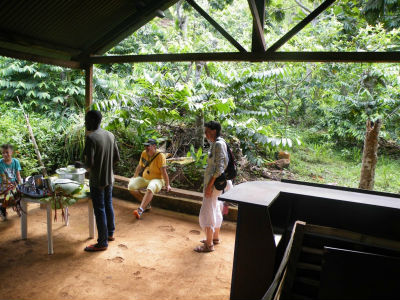 A la découverte de l`Ylang avec l`Amicale des Bretons de Mayotte