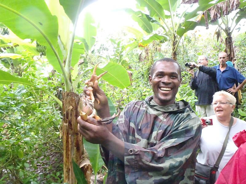 Randonnée Mangrove Amicale Bretons Mayotte 2011