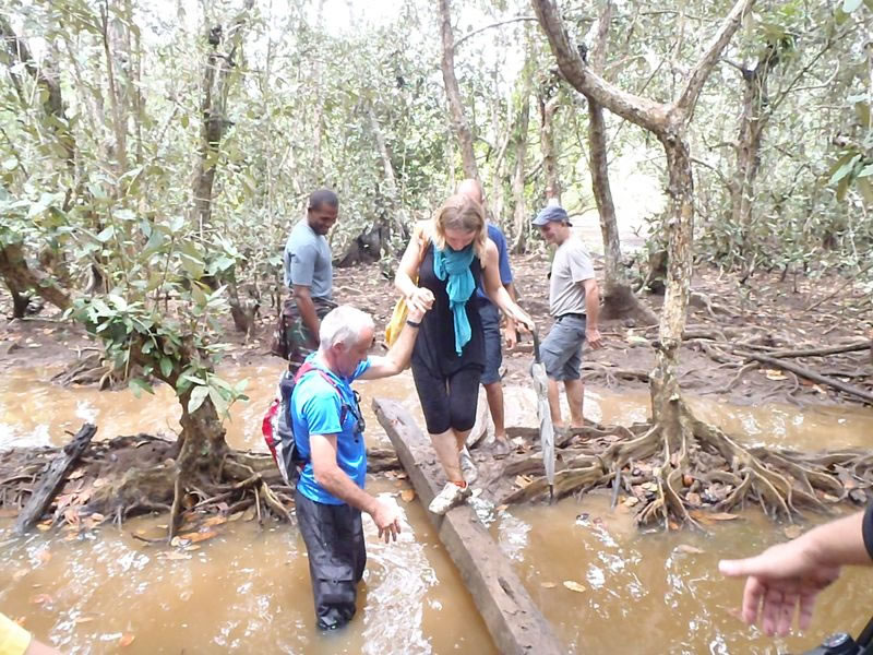 Randonnée Mangrove Amicale Bretons Mayotte 2011