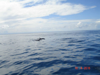 Randonnée Marée Basse Barrière Corail Amicale Bretons Mayotte 2016