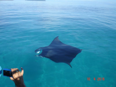 Randonnée Marée Basse Barrière Corail Amicale Bretons Mayotte 2016