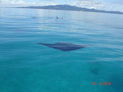 Randonnée Marée Basse Barrière Corail Amicale Bretons Mayotte 2016