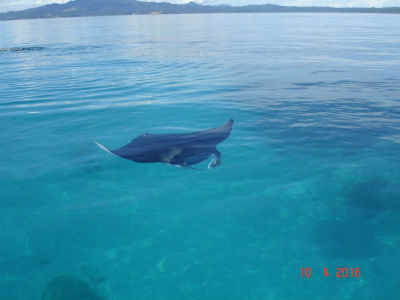 Randonnée Marée Basse Barrière Corail Amicale Bretons Mayotte 2016