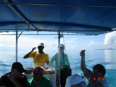 Randonnée Marée Basse Barrière Corail Amicale Bretons Mayotte 2016