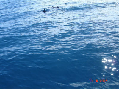 randonnée marée basse barrière de corail amicale des Bretons de Mayotte 2016