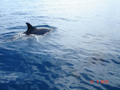 randonnée marée basse barrière de corail amicale des Bretons de Mayotte 2016
