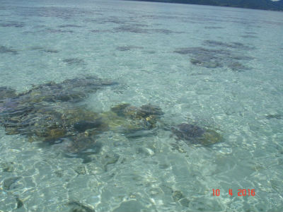 randonnée marée basse barrière de corail amicale des Bretons de Mayotte 2016