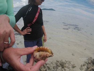 randonnée marée basse barrière de corail amicale des Bretons de Mayotte 2016