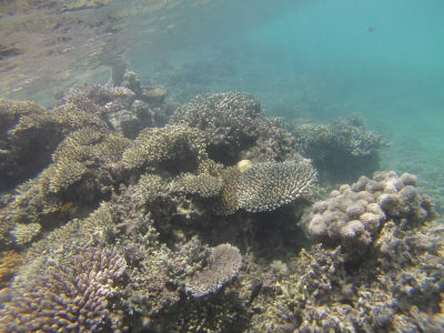 randonnée aquatique Amicale des Bretons de Mayotte octobre 2016