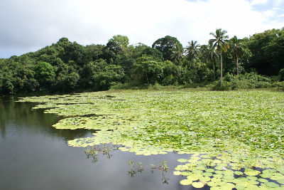 Randonnée cascade bouyouni Amicale des Bretons de Mayotte 2016