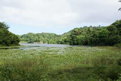 Randonnée cascade bouyouni Amicale des Bretons de Mayotte 2016