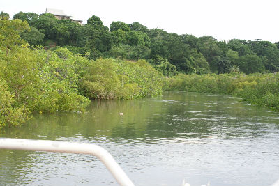 Randonnée Marée Basse Barrière Corail Amicale Bretons Mayotte 2016