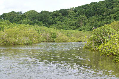 Randonnée Marée Basse Barrière Corail Amicale Bretons Mayotte 2016