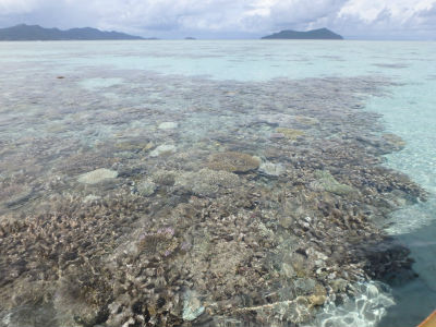 Randonnée Marée Basse Barrière Corail Amicale Bretons Mayotte 2016