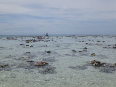 Randonnée Marée Basse Barrière Corail Amicale Bretons Mayotte 2016