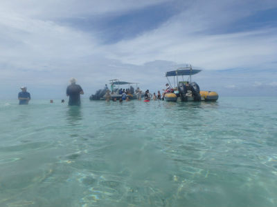 Randonnée Marée Basse Barrière Corail Amicale Bretons Mayotte 2016