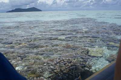 Randonnée Marée Basse Barrière Corail Amicale Bretons Mayotte 2016