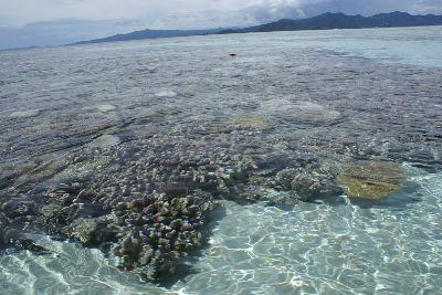 Randonnée Marée Basse Barrière Corail Amicale Bretons Mayotte 2016