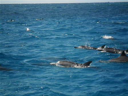 Sortie mer Amicale Bretons Mayotte 13 mai 2012