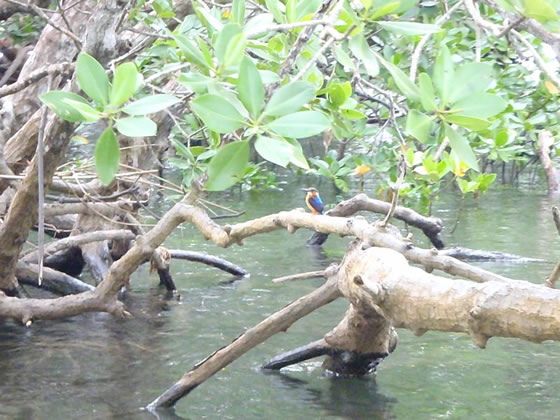 Sortie mer Amicale Bretons Mayotte 20 mai 2012