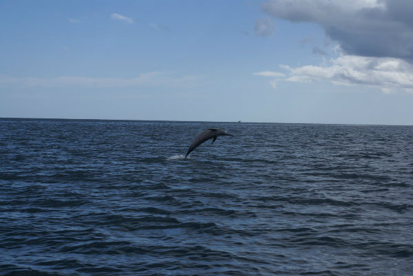Sortie mer Amicale Bretons Mayotte 26 avril 2015
