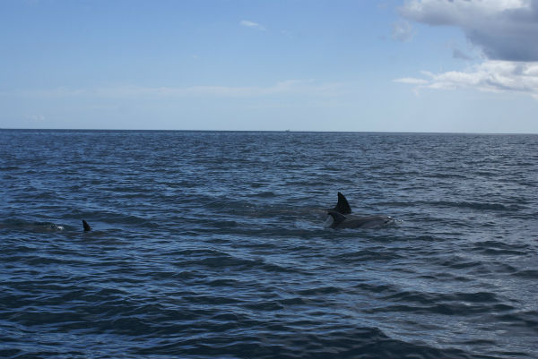 Sortie mer Amicale Bretons Mayotte 26 avril 2015