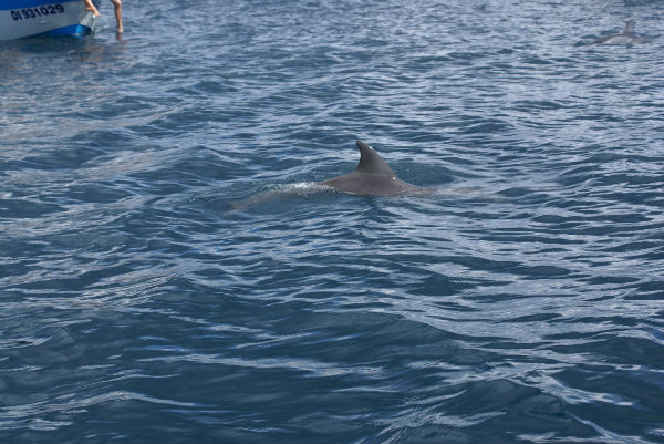 Sortie mer Amicale Bretons Mayotte 26 avril 2015