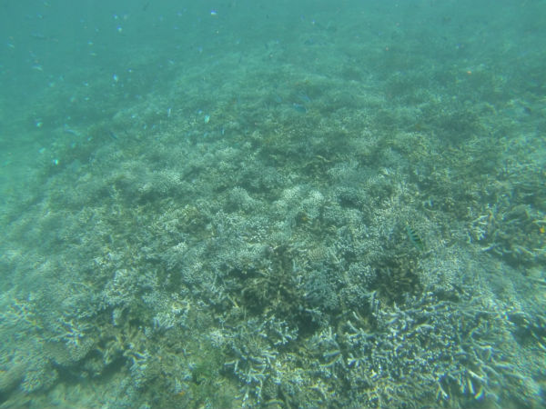 Sortie mer Amicale Bretons Mayotte 26 avril 2015